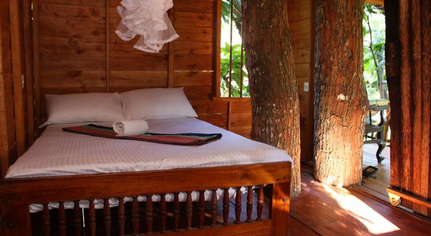Tree House-Midigama photo