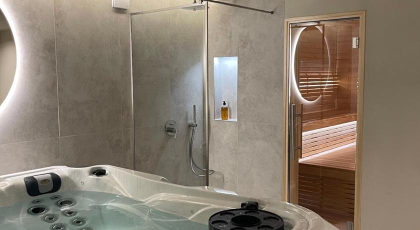 克莱佩达 APARTAMENTAI SPA MORENA Klaipeda 4星级 单人房 客房