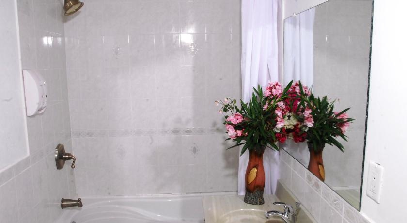 Guest House Villa Mishkan photo