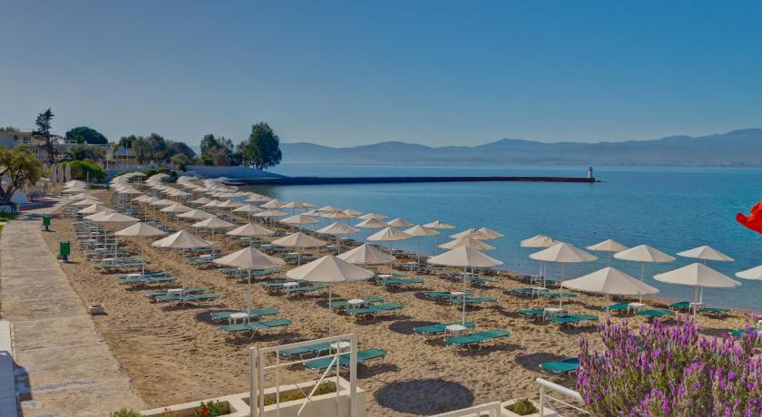 Palmariva Beach Hotel photo