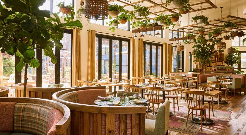 산호세 / 새너제이 (CA) Treehouse Hotel Silicon Valley 5성급 숙소 로비
