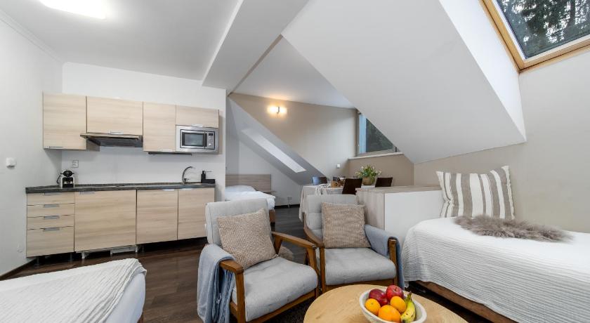 Anensky Apartman C303 s wellness , O2 TV a stabilni rychlou WIFI, s moznosti dokoupeni bufetovych sn
