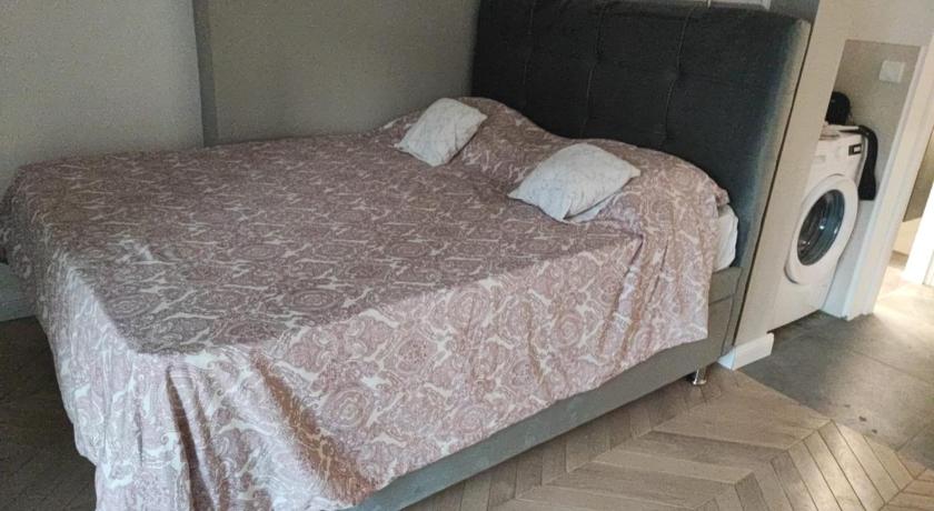 貝爾格勒 The city spot 2星级 单人房 大堂