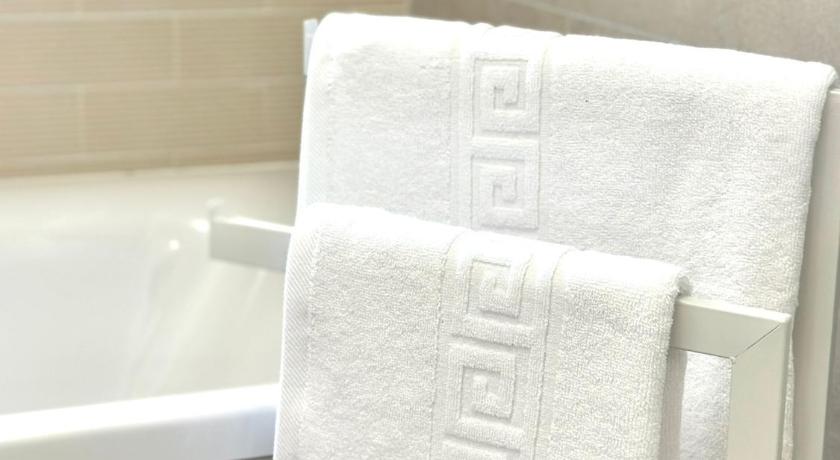 蒂米什瓦拉 Mok Residence 2 4星级 单人房 设施