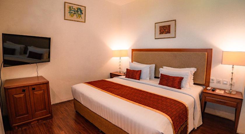 صورة جناح (Suite) 11