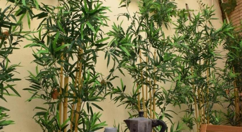 로마 Casa Mari Vaticano 3성급 싱글룸 수영장