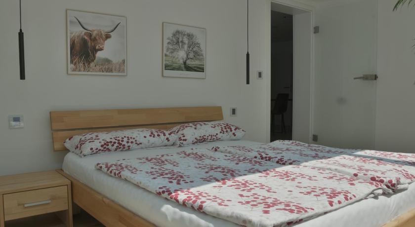 ガイジンゲン DonauDeluxe 4つ星 シングルルーム 眺望