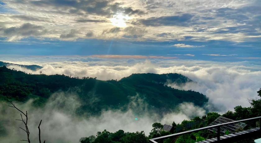 メースアイ／ウィアンパパオ กาแฟอาลูลูดอยล้าน 4つ星 ゲストハウス 客室