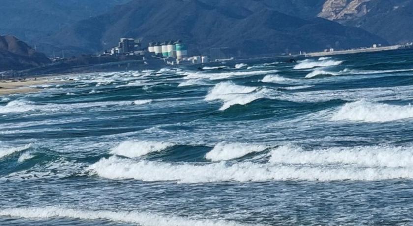 Donghae Donghae Goldenview Pension 3-Star Guesthouse lobby