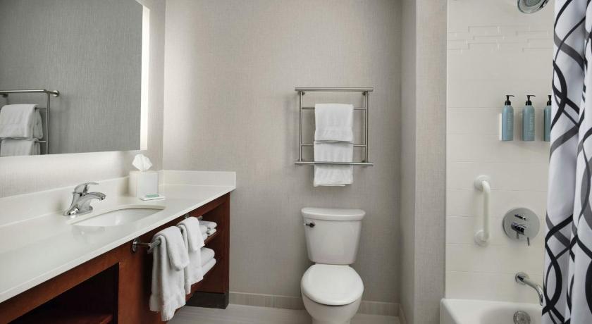 Image of One-Bedroom King Suite with Sofa Bed and Roll-in Shower - Mobility and Hearing Accessible 2