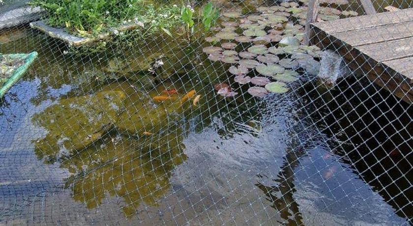 ガイジンゲン Ferienhaus Hombergshalden 4つ星 シングルルーム 客室