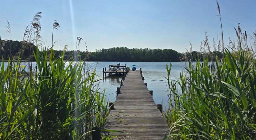 ボッハウ Valeria 26 Bosau am großen Ploner See 3つ星 シングルルーム プール