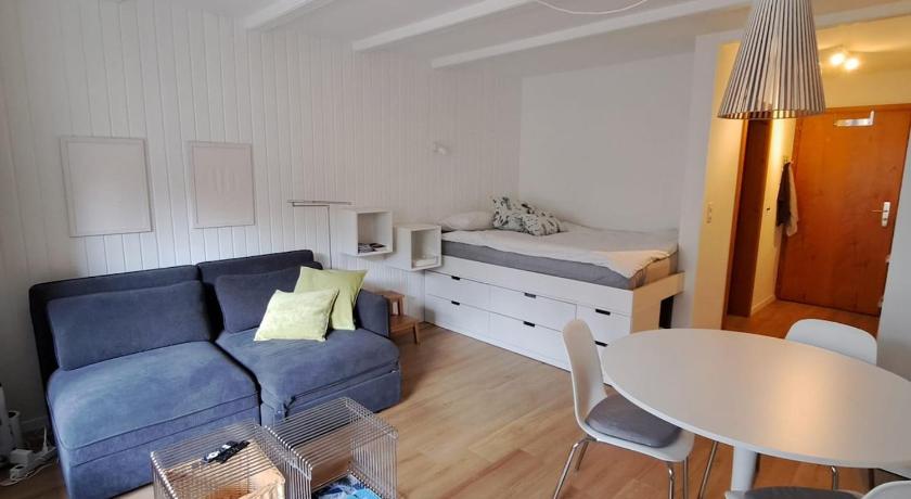Le Flocon Studio in Ovronnaz close to the baths