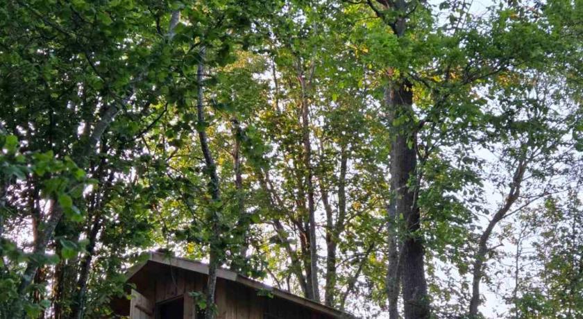 维尔卡维什基斯 Terra Gratia - namukas Naturalistas 2星级 单人房 设施