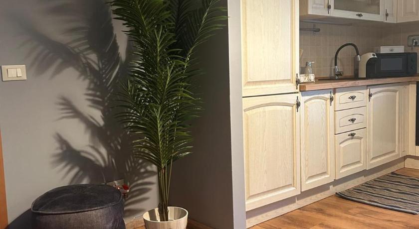 ピアノ・ロマーノ La Luna di Lola 4つ星 シングルルーム 客室