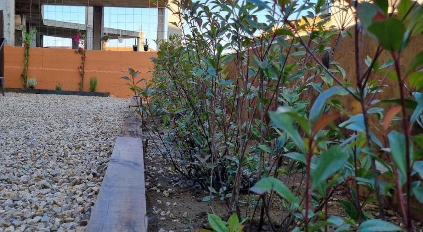 马萨拉奇 Les Ametlles 4星级 单人房 泳池