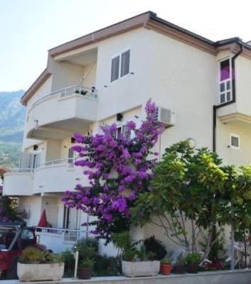 Villa ALEA