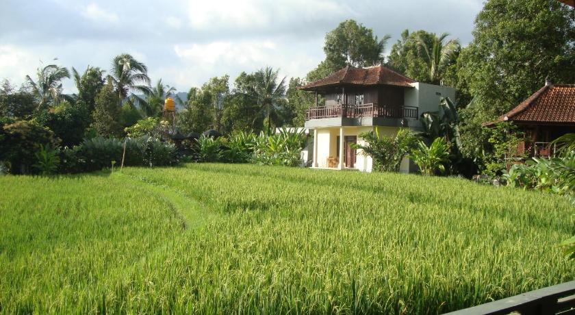 Image of Deluxe Villa 17