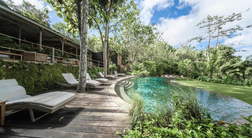 The Mesare Jungle Resort - image 9