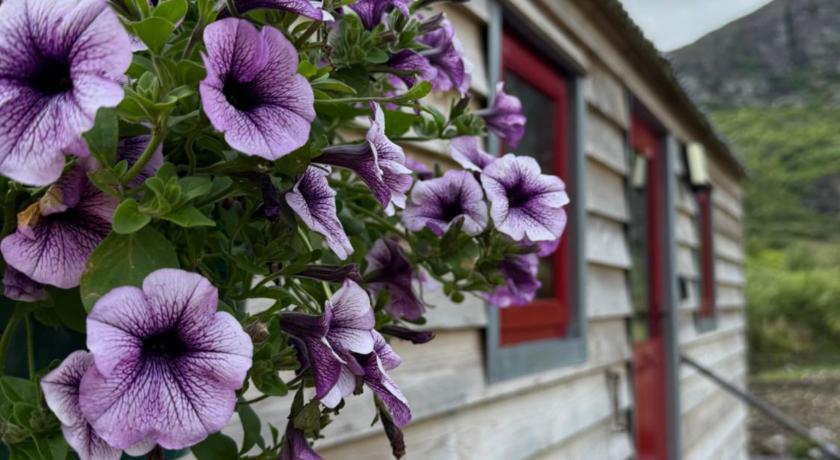 グレナガリー Little Heaven shepherds hut 4つ星 シングルルーム 外観