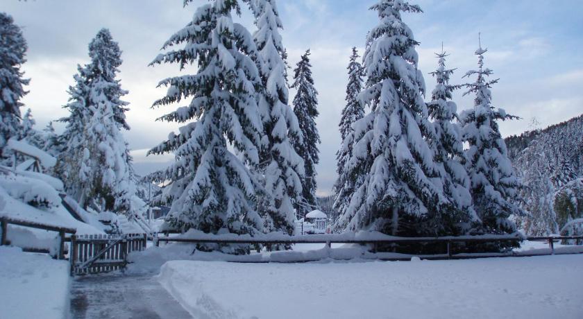 a snow covered street with trees and houses, Monolocali Alberti - Des Alpes in Madonna di Campiglio