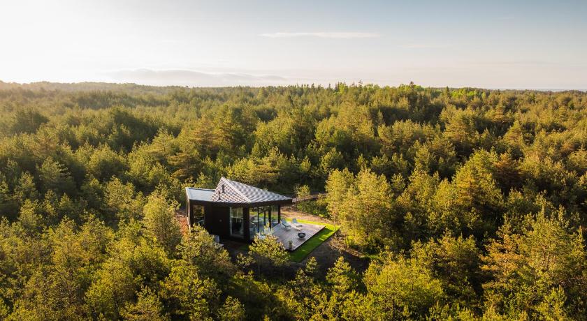 Dharma Resort