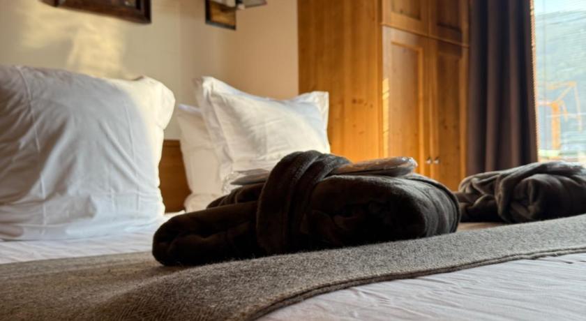 Image of Superior Double or Twin Room with Mountain View 0