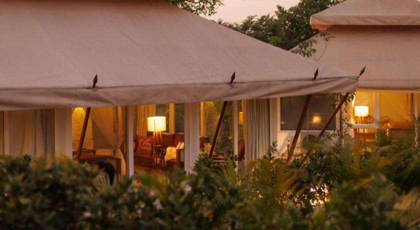 Image of Glamping Tents 17
