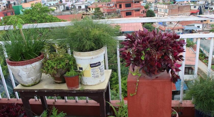 32 Peace Home – Kathmandu, OH