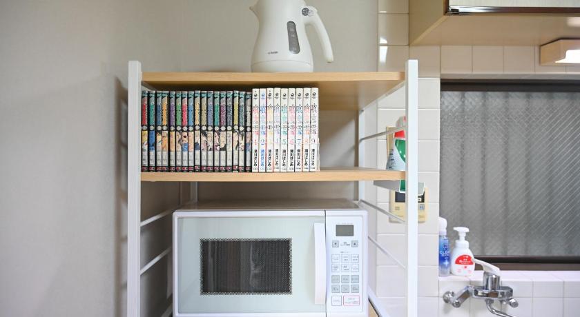 도쿄 / 동경 Asakusa Ginza direct access to the airport 4성급 싱글룸 전망