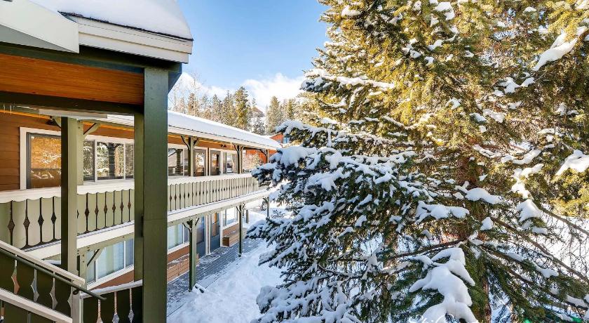 Breckenridge (CO) Park Meadows 6B by Ski Country Resorts 3-Star Accommodation room