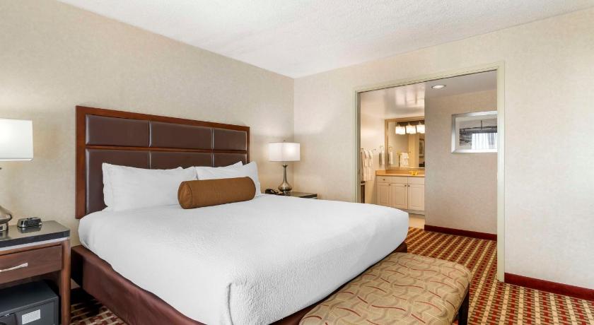 Imagen de Suite - 1 King Bed, Nonsmoking, Executive Level 3