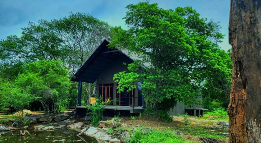 Turtle Pond Wilpattu