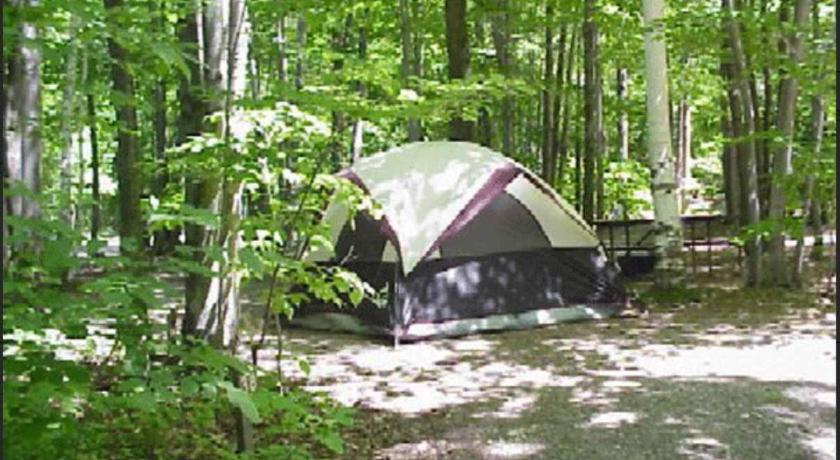 Primitive Camp Sites
