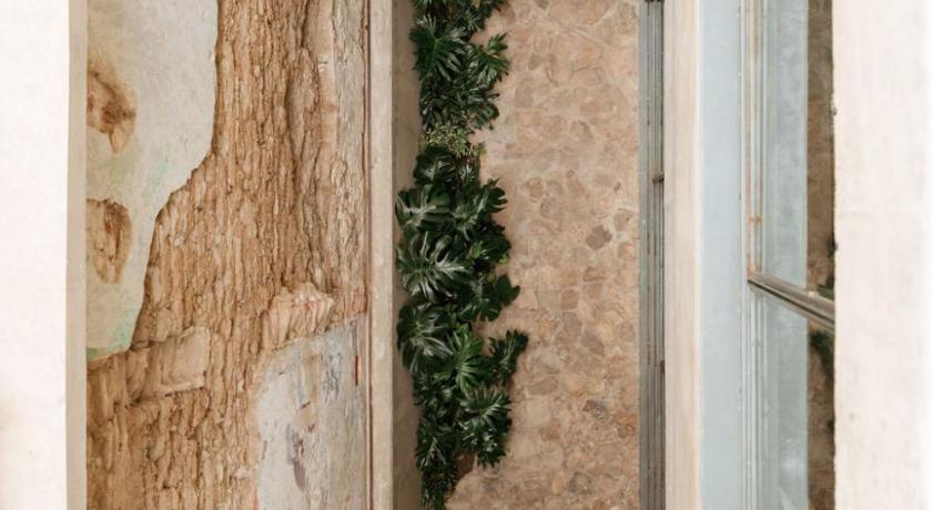 瓦哈卡 Becino 酒店 景观