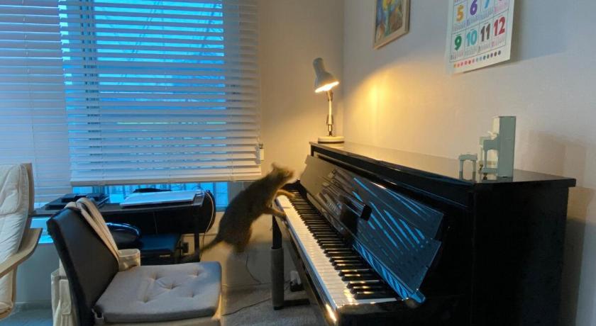 首尔 Glow House Seongsu A - Cozy and Brown Cat 외국인전용 住宿 大堂