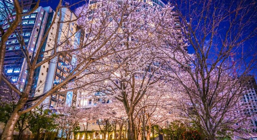 도쿄 / 동경 Oliver 502 숙소 전망