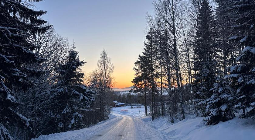 ハンマルスストランド Bjornstuga 4つ星 シングルルーム 眺望