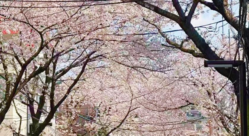 도쿄 / 동경 桜の通 交通便利 池袋周辺 2-4人 池袋4分新宿10分渋谷14分直通 숙소 외관