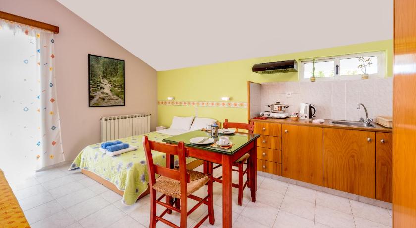 Image of Studio with Terrace 4