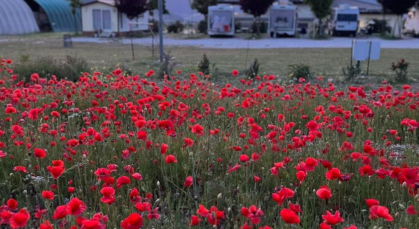 Agricamping Brandimarte - Bungalow del pastore