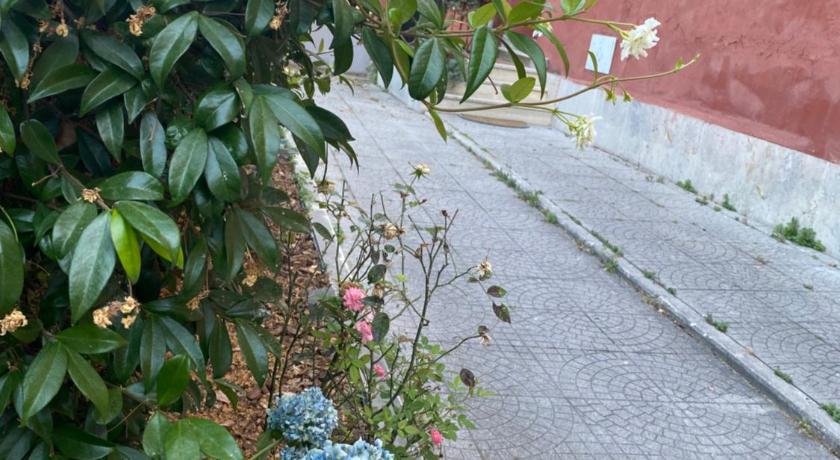 ローマ BERNOCCHI ROMA APARTMENT, difronte metropolitana 3つ星 ゲストハウス 外観