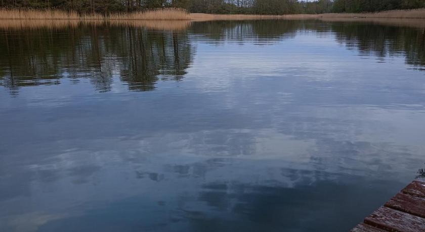 ガブリキ・ヴィエルキエ U Madzi i Arka 2つ星 シングルルーム 客室