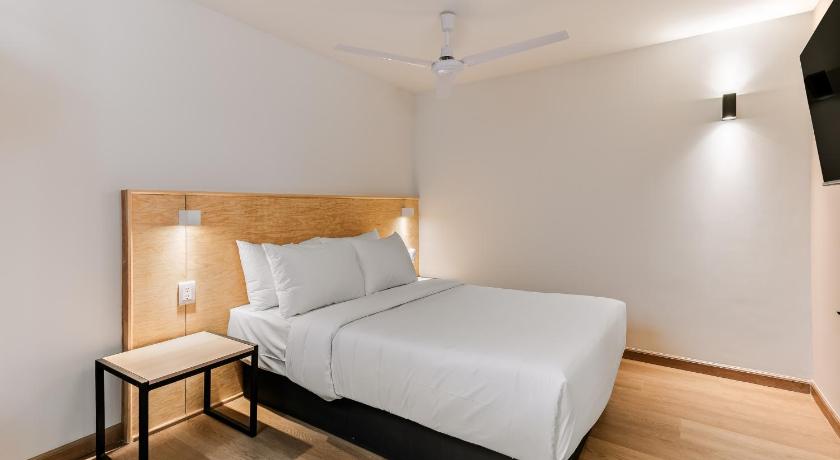 Pájaros By Homirent