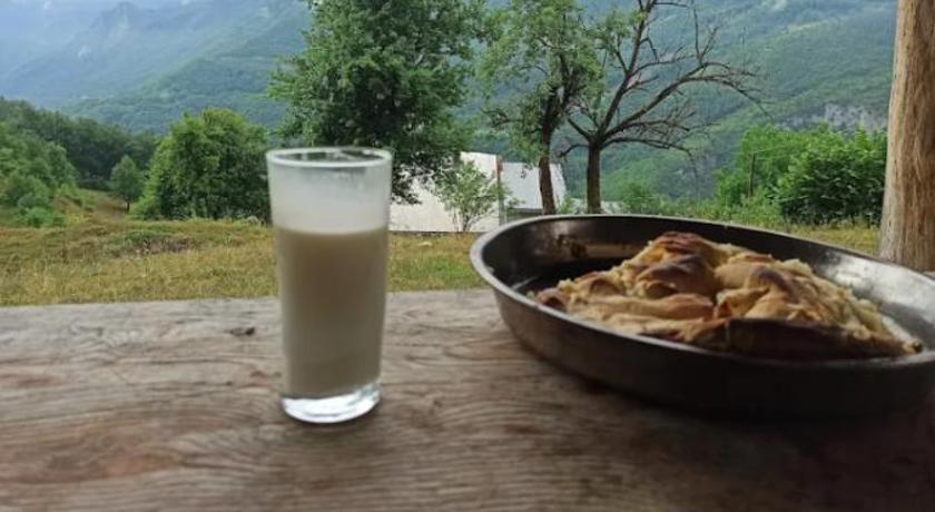 Camp Apartmani Tara