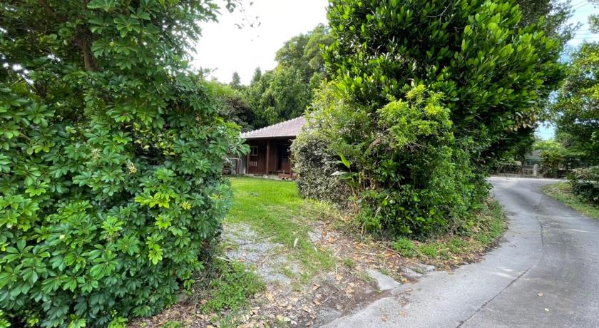 오키나와 본섬 ゆくみやは沖縄を感じる一棟貸今帰仁村でリトリート (ゆくみやは沖縄を感じる一棟貸今帰仁村でリトリート) 4성급 싱글룸 객실