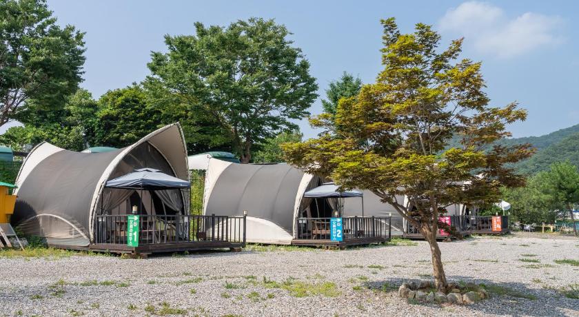 가평 가평 애견동반 516 글램 카라반 숙소 객실