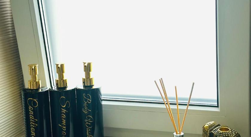 蒂米什瓦拉 Mok Residence 2 4星级 单人房 大堂