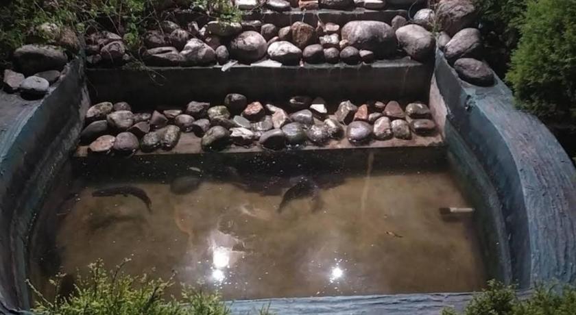 达乌萨 Aranyak Nature's Pride 酒店 外观