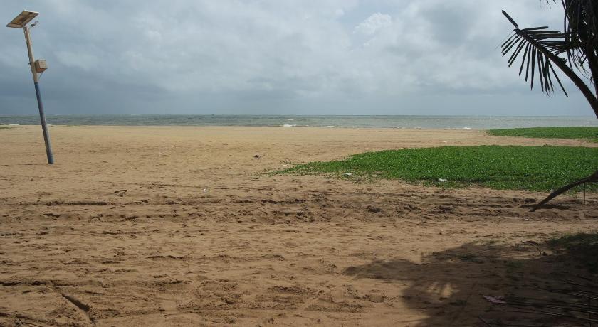 Dephani Beach Hotel photo